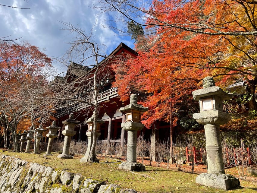 Asuka: Discover Origin of Japan Review - Exploring Tanzan Shrine