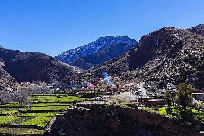 Atlas Mountains and Three Valleys & Waterfalls With Camel Ride Guided Day Trip - Meeting and Pickup Details