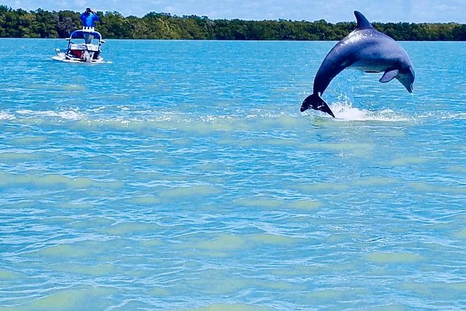 Backwater Adventures CraigCat Tours of the 10,000 Islands - Participant Requirements