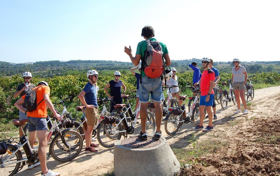 Barcelona: Guided Half-Day Wine and Electric Bike Tour - Customer Reviews and Ratings