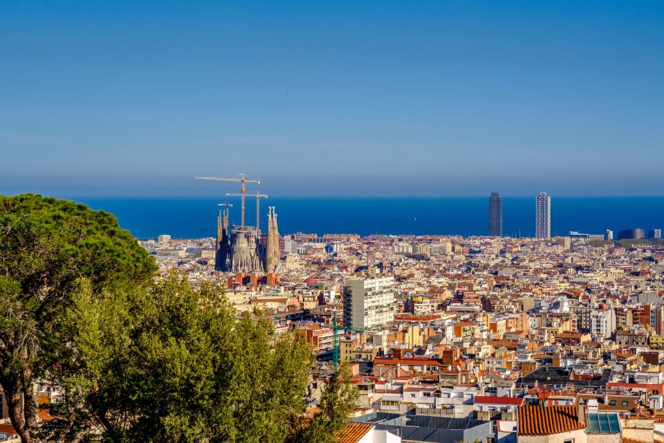 Barcelona: Park Güell Fast-Track Guided Tour - Accessibility and Mobility Considerations