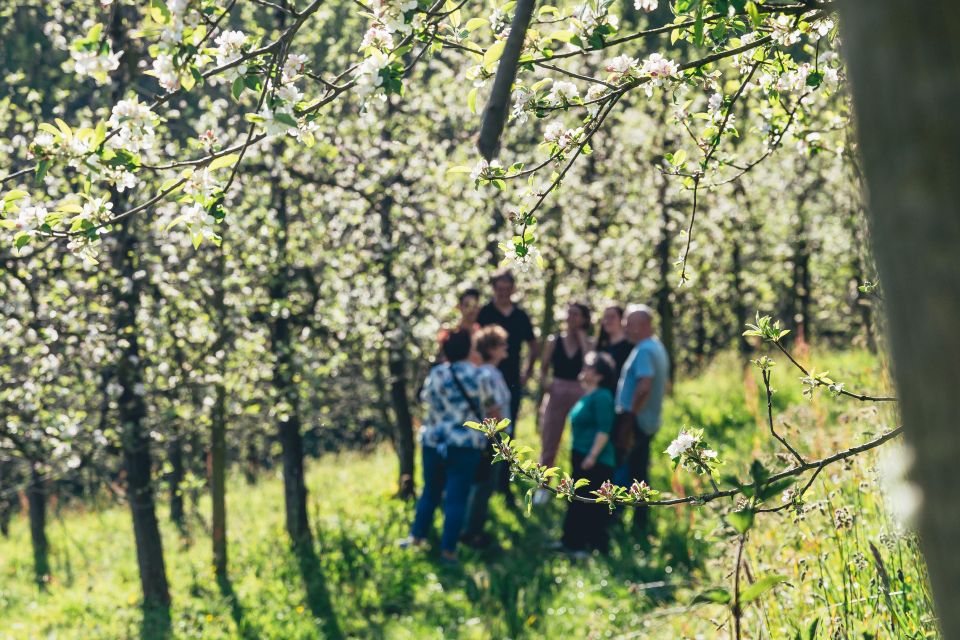 Basque Press Farm and Traditional Cider House With Transport - Itinerary Details