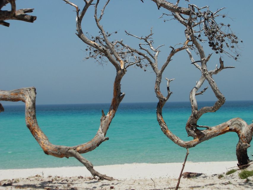 Bastia: 4x4 Day Tour to Cap Corse and Saleccia Beach - Exploring Panoramic Viewpoints