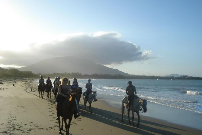 Beach Horseback Riding in Puerto Plata - Multilingual Guide Availability