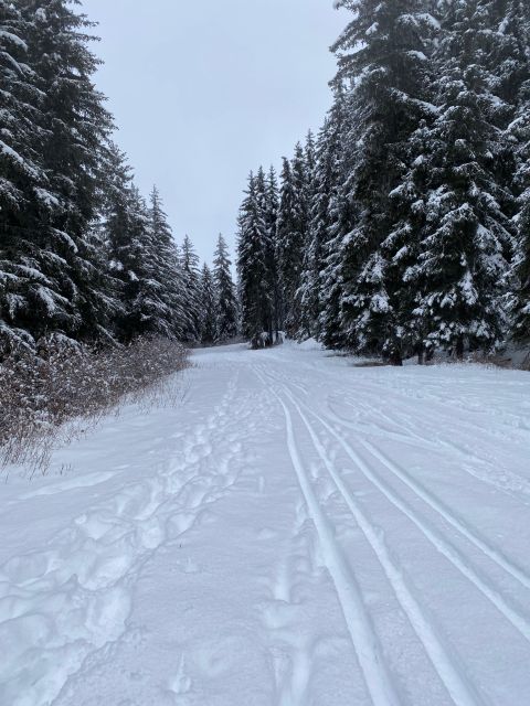 Bespoke Private Megève Experience - Tea Time, Aperitif, and Cocktails