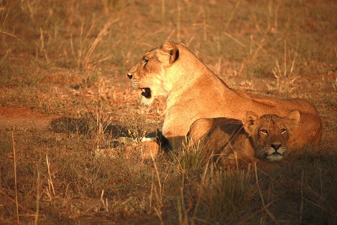 Big Five Luxury Safari in Tanzania - Optional Add-ons