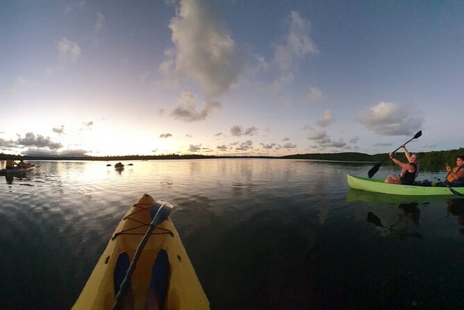 Bioluminescent Night Kayaking With Transport From San Juan - Wheelchair Accessibility