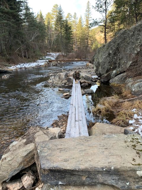 Black Hills: Private Tour of Mt. Rushmore & Flume Trail Hike - Cancellation and Payment Policy