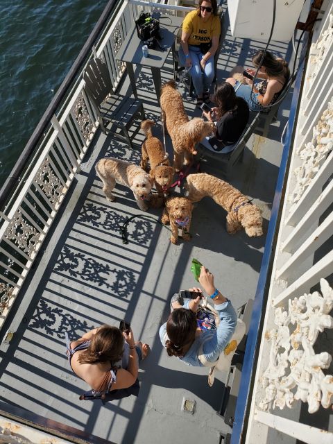 Boston: Scenic Harbor Cruise (Dog-Friendly) - Getting to the Meeting Point