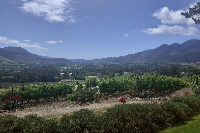 Cape Winelands and Wine Tasting Full Day Tour - Booking and Confirmation