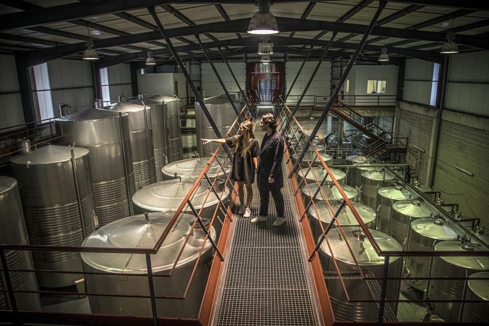 Celorico De Basto: Quinta De Santa Cristina Winery Tour - Winerys History and Production