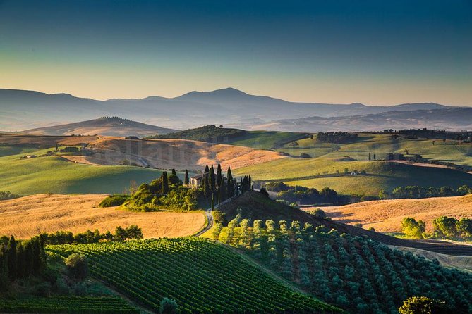 Chianti, Supertuscan & San Gimignano - 2 Wineries and Light Lunch - Explore Historic San Gimignano