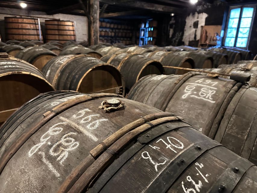 Cognac: Private Tour From Bordeaux - Exquisite Cognac Tastings