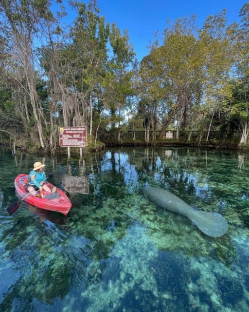 Crystal River: Kayak Rental - What to Bring