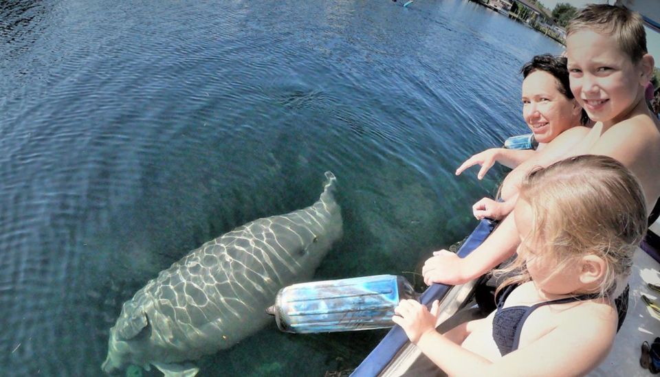 Crystal River: Manatee Viewing Cruise - Observing Manatees in Their Habitat