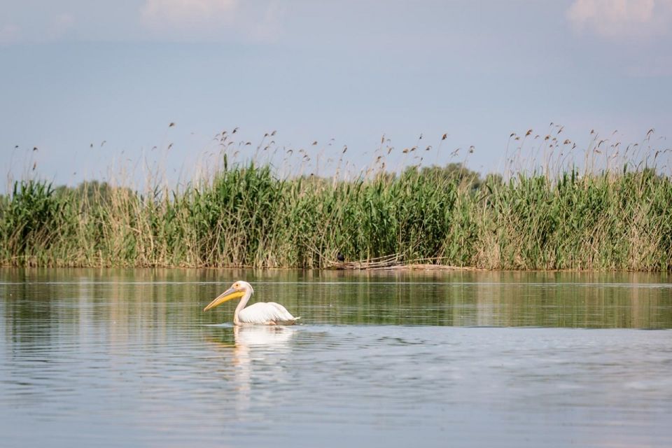 Danube Delta - 2-Day Tour From Bucharest - Booking and Reservation