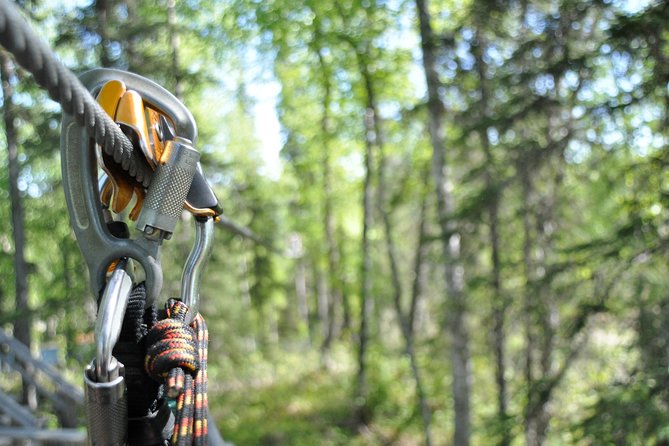 Denali Zipline Tour in Talkeetna, AK - Safety and Knowledgeable Guides