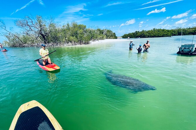 Dolphin and Manatee Adventure Tour of Fort Myers - Scenic Waterways and Seashell Opportunities