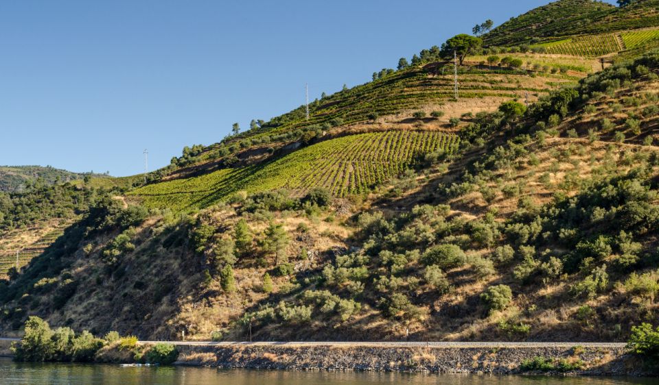 Douro Valley Private Tour With 2 Wine Tastings - Exquisite Wine Tastings