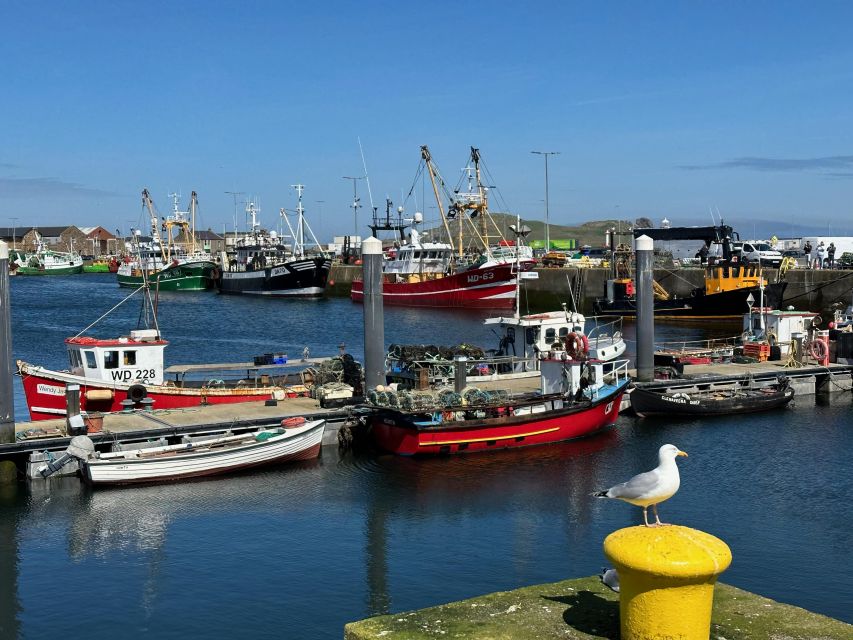 Dublin: Dublin Coastal Hiking Tour With Howth Adventures - Customer Reviews and Ratings