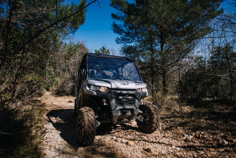 Dubrovnik: Private Panoramic Half-Day Buggy Tour With Brunch - Curated Charcuterie Brunch