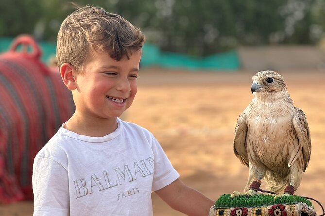 Evening Desert Safari - Activity Level