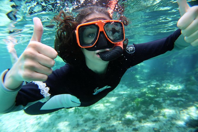 Exclusive Small Group VIP Heated Manatee Snorkel Tour - Meeting Point