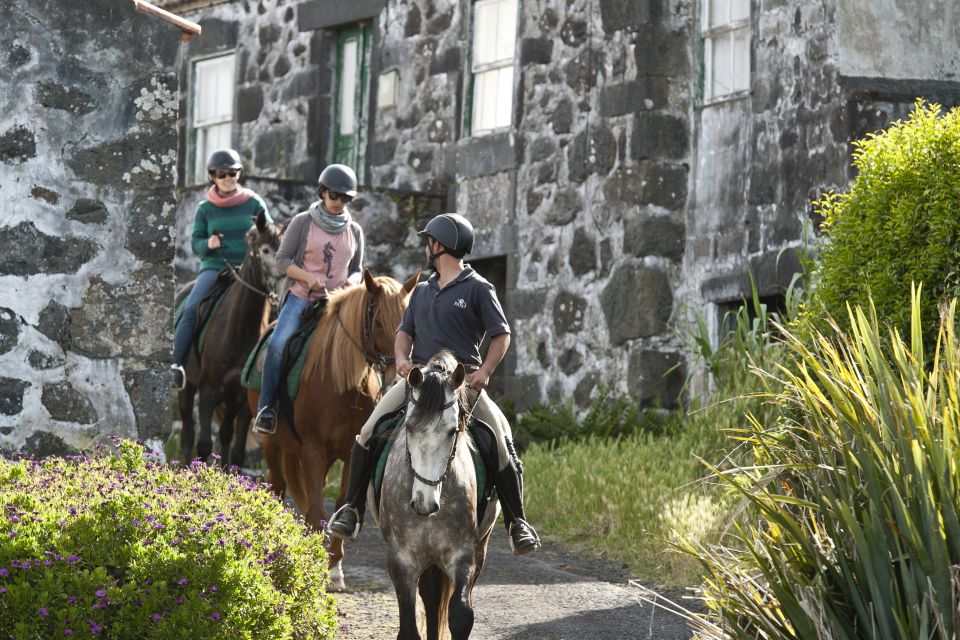 Faial Island: Horseback Riding on Lusitano Trail - Briefing and Riding Gear