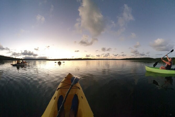 Fajardo Bioluminescent Bay Night Kayak Adventure From San Juan - Booking and Confirmation