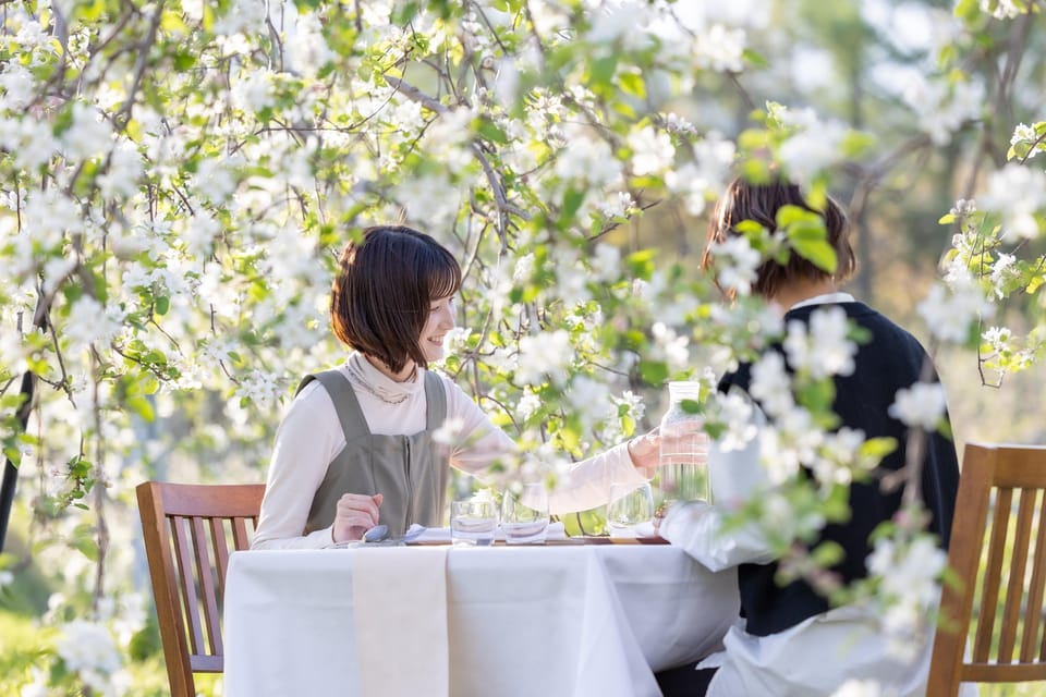 Fine Dining Experience Inside an Orchard Review - Unique Outdoor Atmosphere