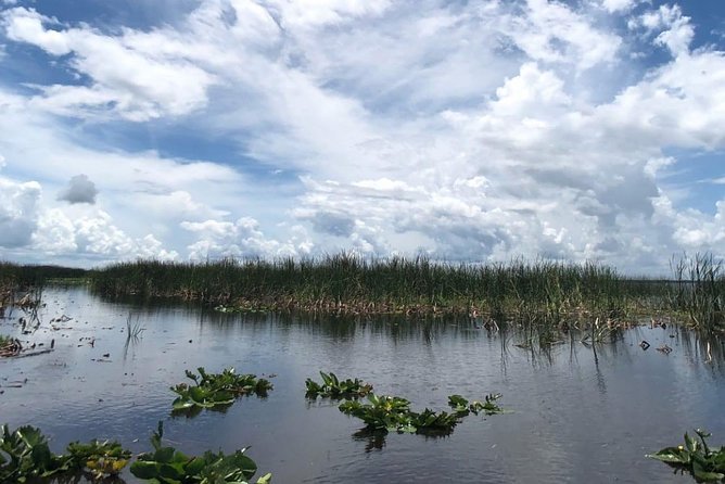 Florida Everglades Airboat Tour and Wild Florida Admission With Optional Lunch - Discovering the Everglades Ecosystem