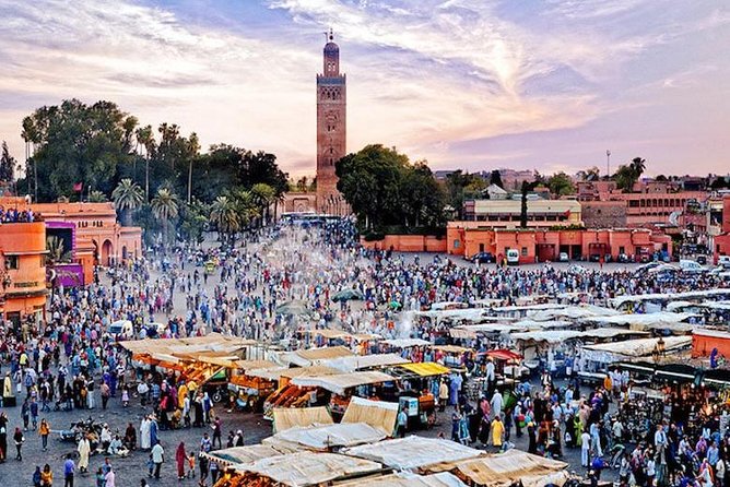 From Agadir or Taghazout: Guided Marrakech Day Trip - Jemaa El Fnaa Exploration