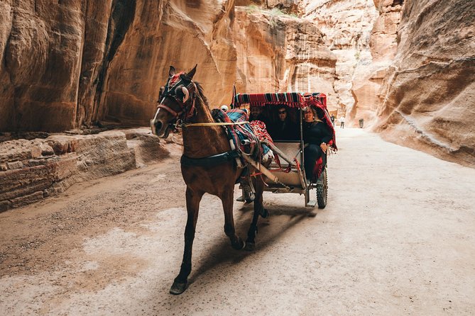 FROM AMMAN | Petra & Wadi Rum in One Day | the Jordanian Mappers - Participation