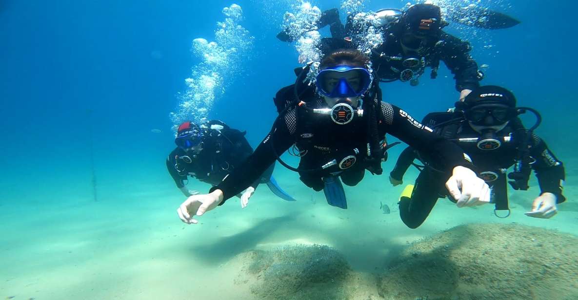 From Barcelona: Tossa De Mar Scuba Diving and 3-Course Meal - Equipment and Instructor