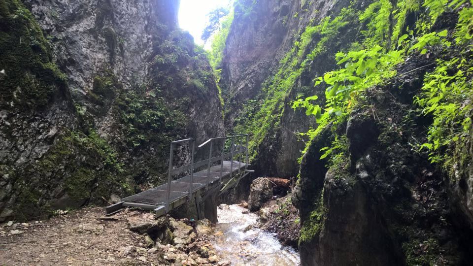 From Brasov: Day Trip to the Seven Ladders Canyon - Itinerary Details