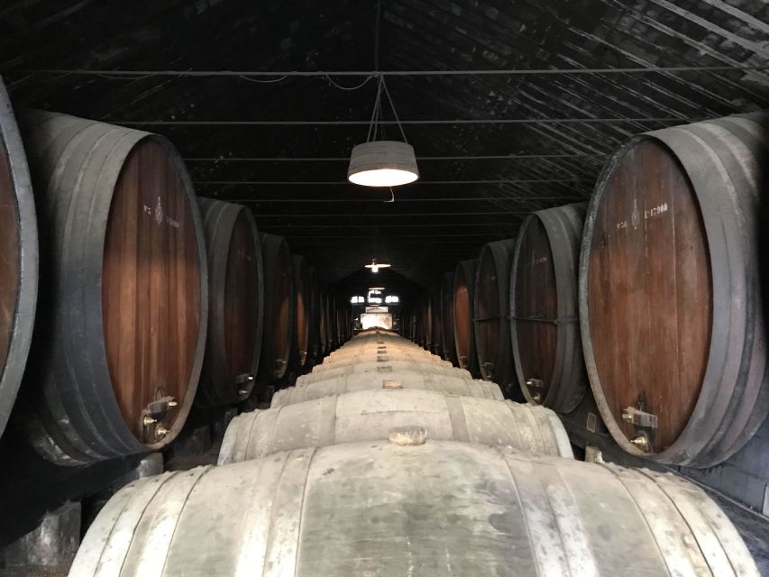 From Lisbon: Azeito Wine Cellar and Food-Tasting Tour - Important Considerations