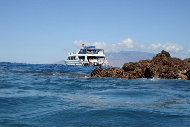 From Maalaea Harbor: Whale Watching Tours Aboard the Quicksilver - Tipping and Tickets