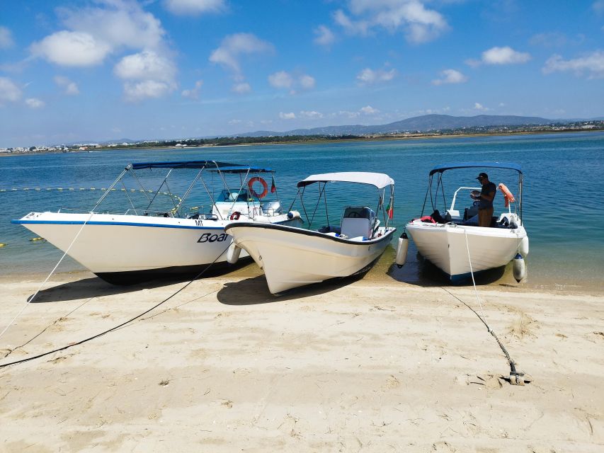 From Olhão: Ria Formosa 3-Island Full-Day Tour - Learning About Local Region