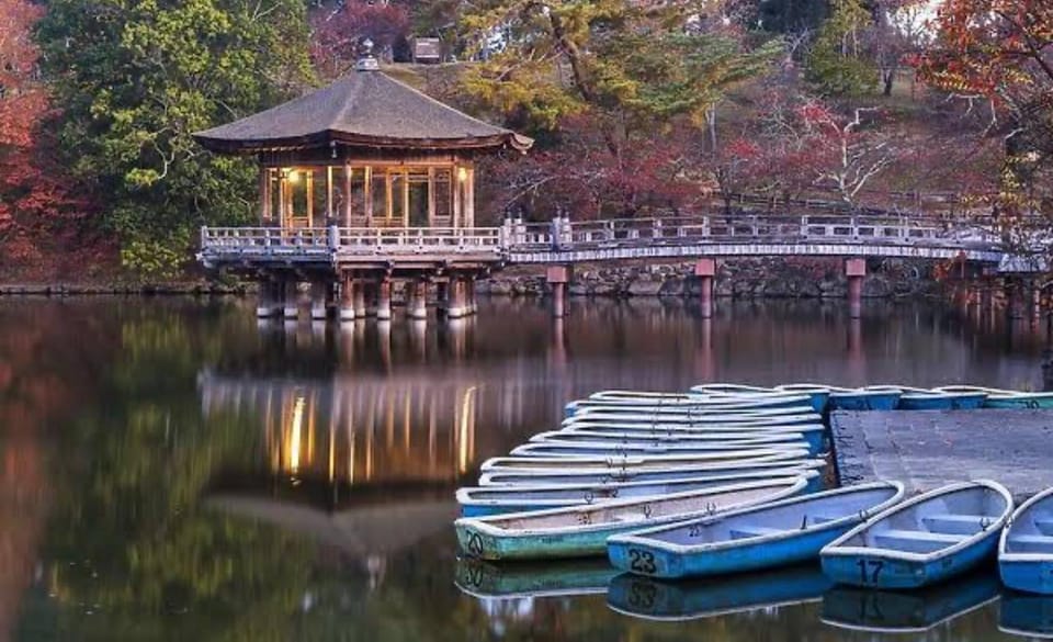 From Osaka: Kyoto Full Day Sightseeing Private Tour - Highlights and Experiences