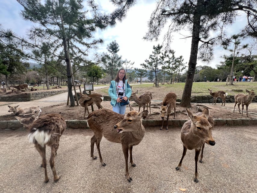 From Osaka/Kyoto:Private Kyoto-Nara Day Tour - Included Amenities