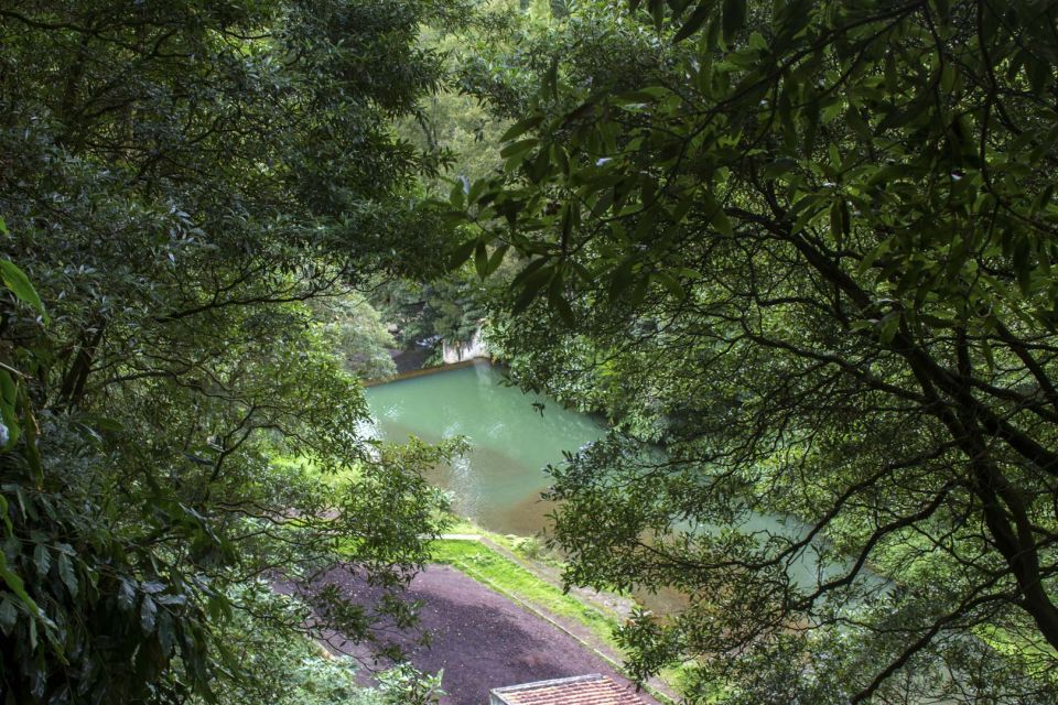 From Ponta Delgada: Guided Walking Tour to Salto Do Cabrito - Exploring Salto Do Cabrito Waterfall