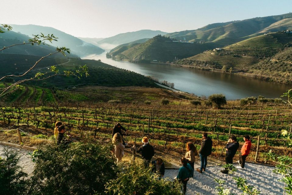 From Porto: Private Tour Douro Valley-Lunch/Wine Tasting/Boat - Guided Tour of Vineyards and Cellar