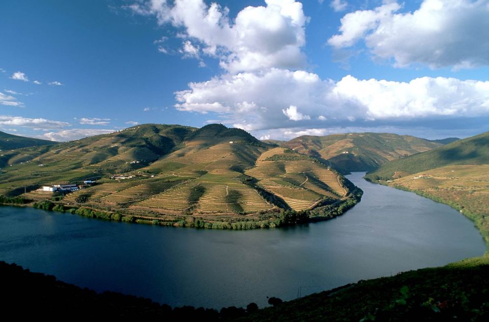 From Porto: Régua to Porto River Cruise With Lunch on Board - Weather and Schedule Flexibility