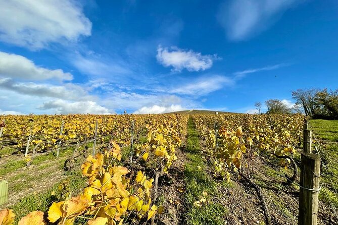 From Reims Afternoon E-Bike Tour, Visit and Champagne Tastings - Meeting Point and Ending