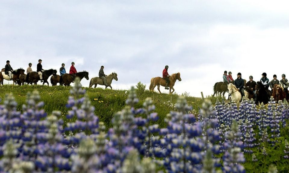 From Reykjavik: Full-day Golden Circle & Horse Riding Tour - Availability and Cancellation