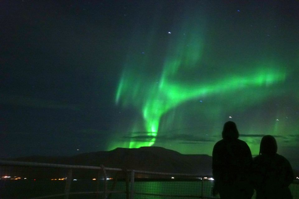 From Reykjavik: Whales and Northern Lights Boat Tour - Recommended Attire