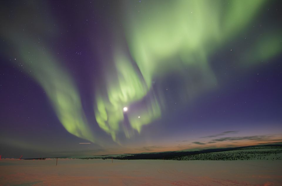 From Rovaniemi: Aurora Dreamscape Tour in the Wild - Suitability and Restrictions