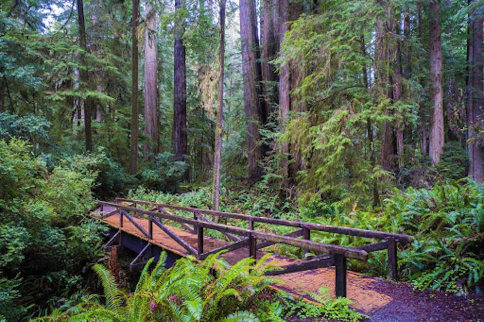 From San Francisco: Private Muir Woods and Napa Wine Tour - Pickup and Drop-off Locations