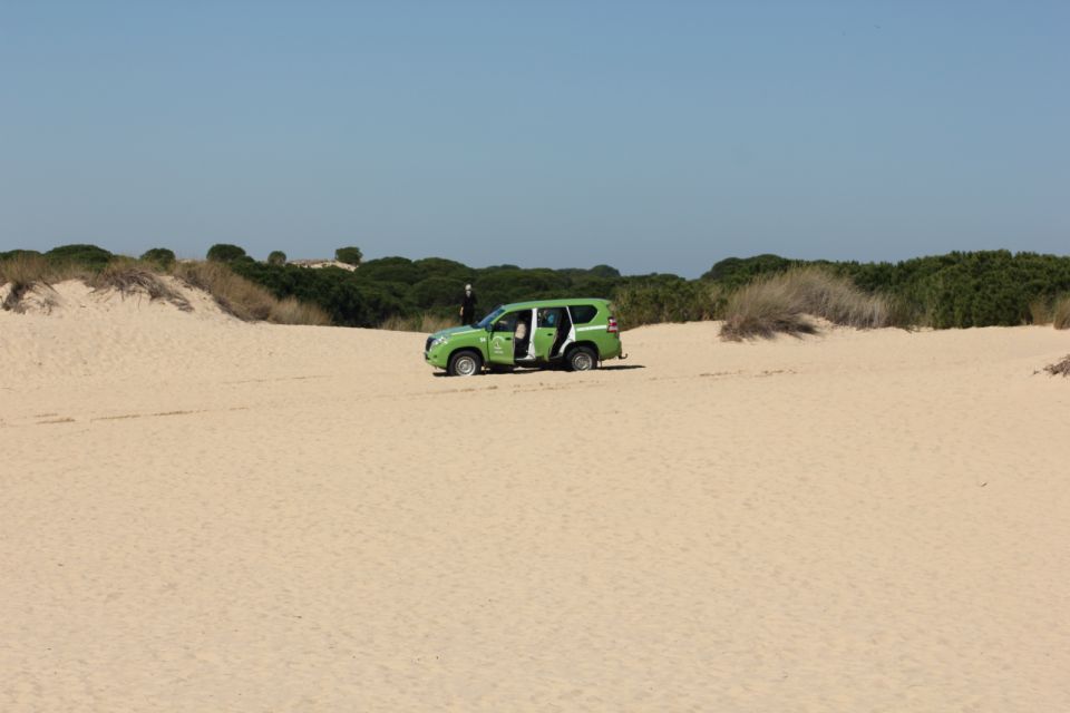 From Seville: Doñana, El Rocío, and Matalascañas Beach Tour - Things To Known