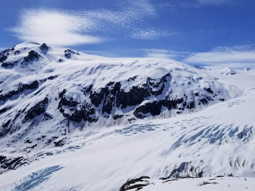 From Seward: Harding Icefield Trail Hiking Tour - Guided Tour Experience